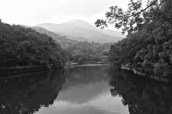 black and white lake in the park