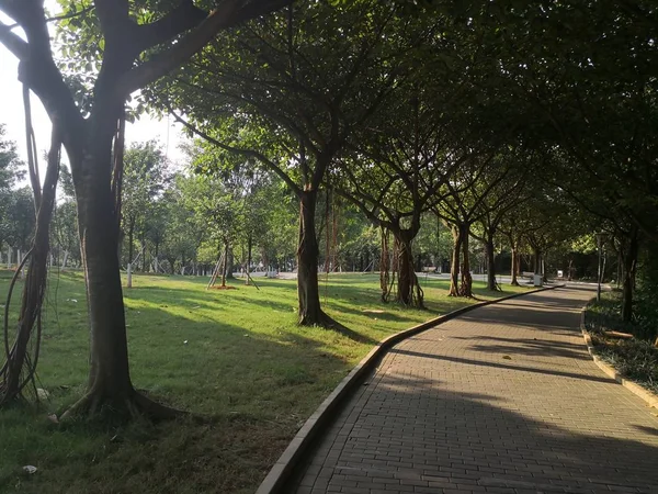 Camino Vacío Parque — Foto de Stock