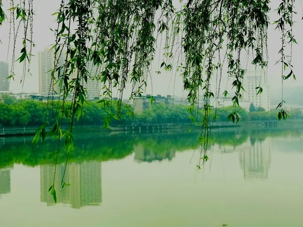 Lago Con Reflejo Parque — Foto de Stock