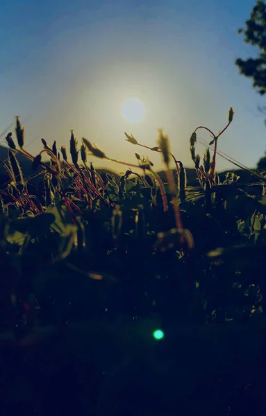 Hermoso Atardecer Campo — Foto de Stock