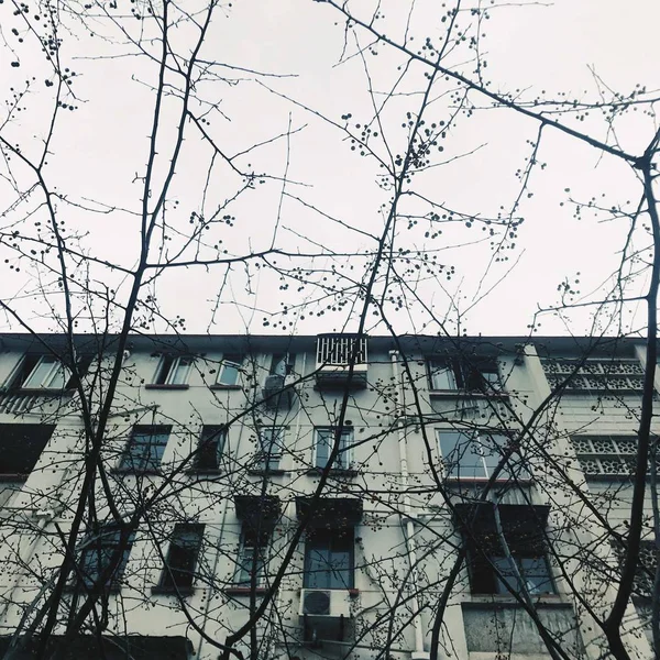 Antiguo Edificio Ciudad — Foto de Stock