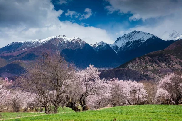 Hermoso Paisaje Naturaleza Fondo —  Fotos de Stock