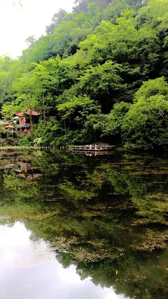 Hermoso Paisaje Fondo Naturaleza — Foto de Stock