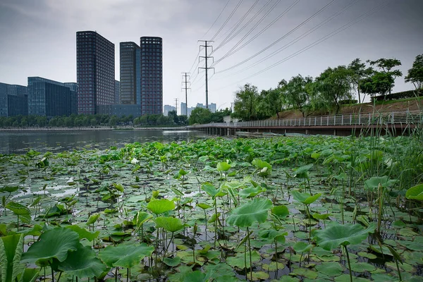 Vista Ciudad Bangkok Tailandia — Foto de Stock