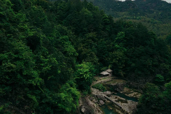 Paisaje Montaña Con Bosque Árboles — Foto de Stock