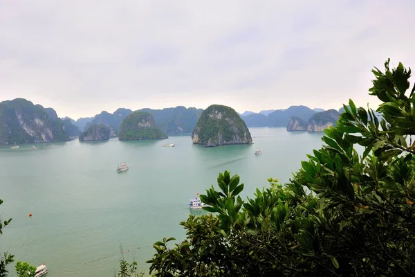 Hermoso Fondo Marino Viajes Naturaleza — Foto de Stock