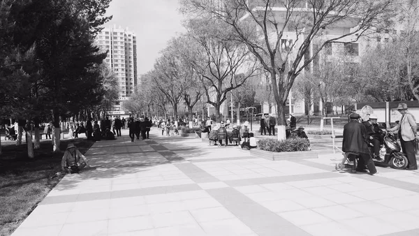 Foto Blanco Negro Parque Ciudad — Foto de Stock