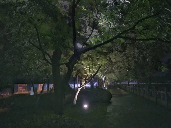 Hermoso Jardín Japonés Parque — Foto de Stock