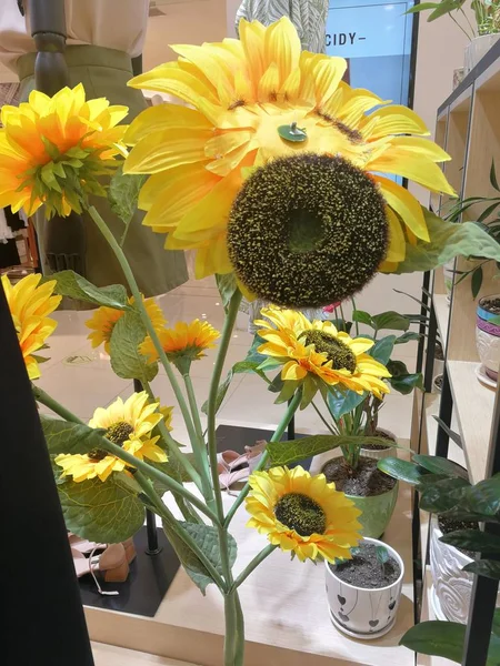 beautiful bouquet of sunflowers in a flower shop