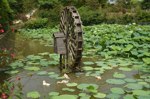 Puente Madera Estanque — Foto de Stock