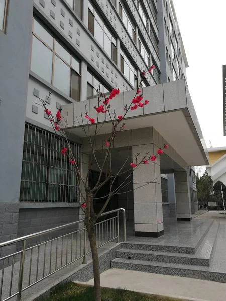 Edificio Moderno Con Fachada Cristal — Foto de Stock