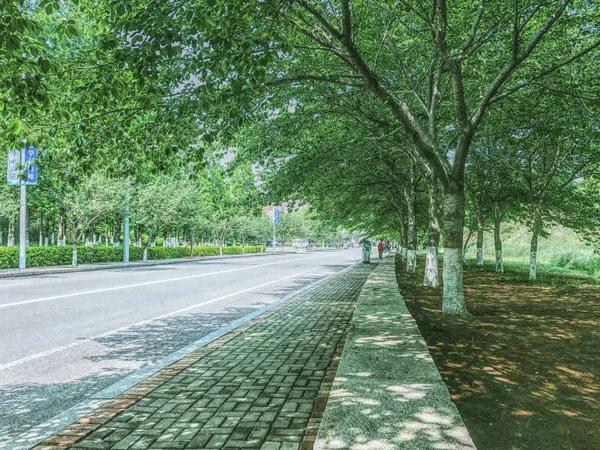 Camino Vacío Parque — Foto de Stock