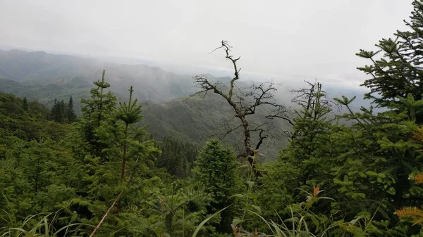 Horská Krajina Mlhou Mraky — Stock fotografie