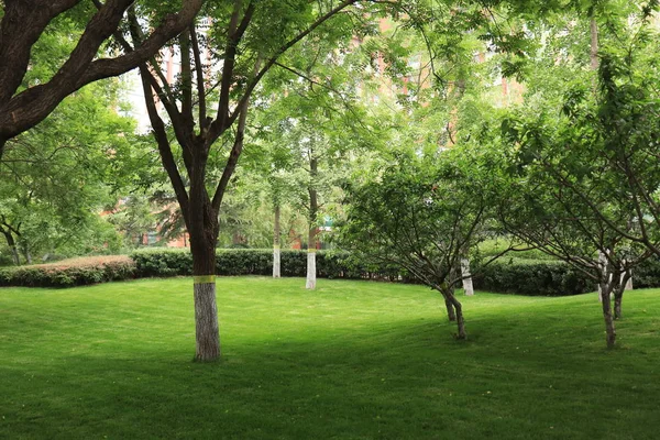 Hermosa Vista Del Parque — Foto de Stock