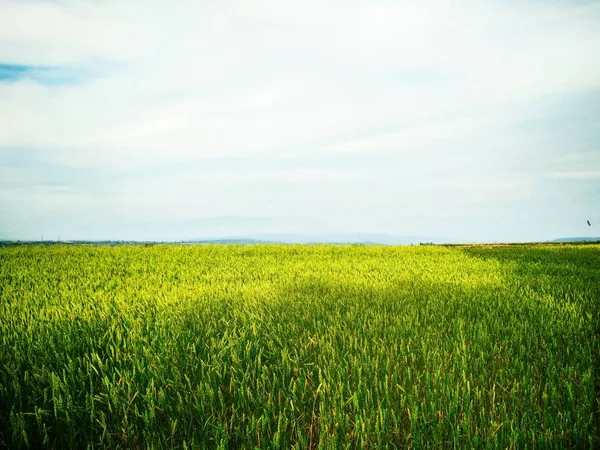 Beautiful View Rural Landscape — Stock Photo, Image