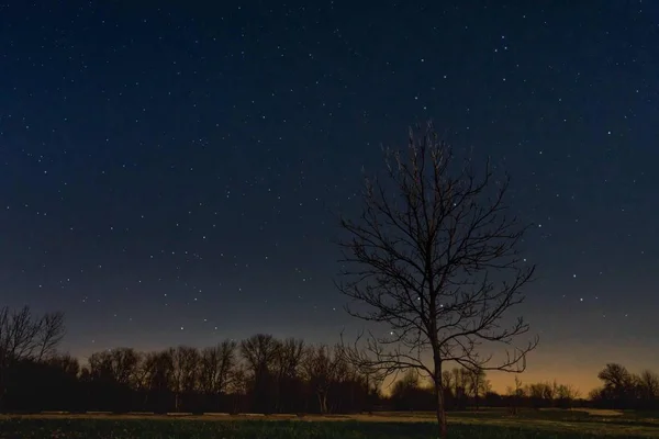 Cielo Nocturno Con Estrellas Luna — Foto de Stock