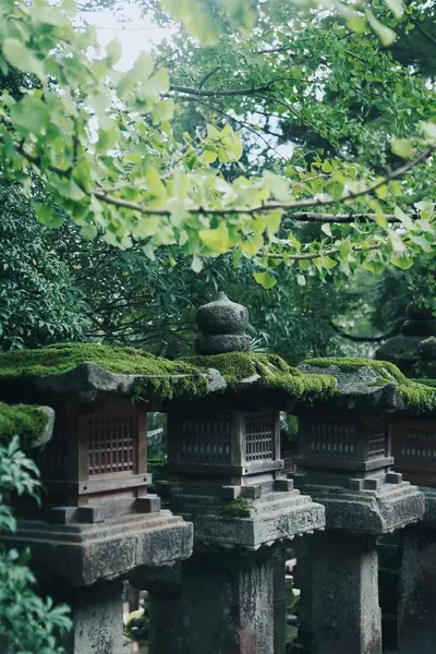 Jardín Chino Antiguo Parque — Foto de Stock