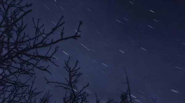 Vista Nocturna Luna Los Árboles — Foto de Stock