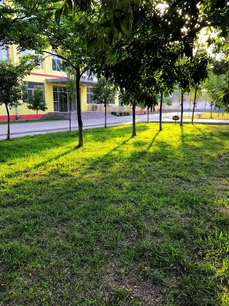 Hermoso Parque Ciudad — Foto de Stock