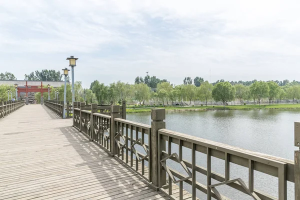 Camino Vacío Parque — Foto de Stock