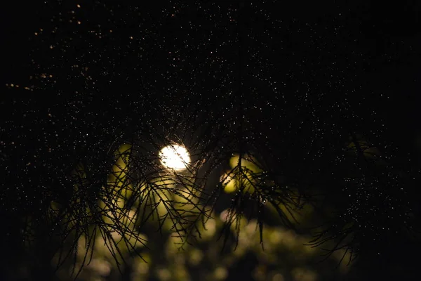 Cielo Nocturno Con Luna Astrofotografía — Foto de Stock