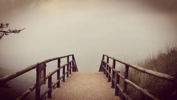 Ponte Legno Nel Parco — Foto Stock