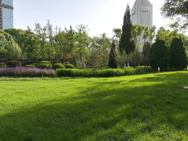 Hermoso Parque Con Hierba Verde Flores — Foto de Stock