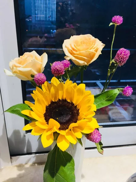 Vista Flores Florecen — Foto de Stock