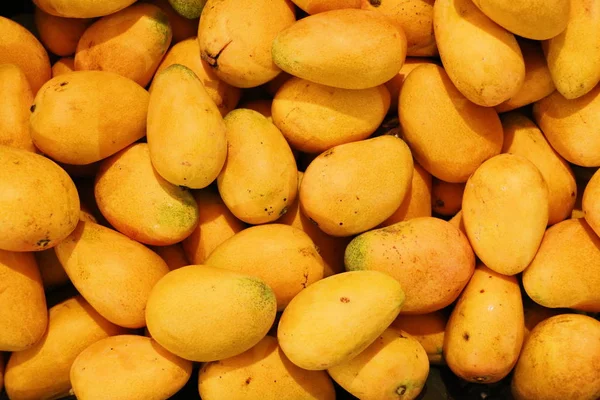 Fresh Organic Yellow Mango Market — Stock Photo, Image