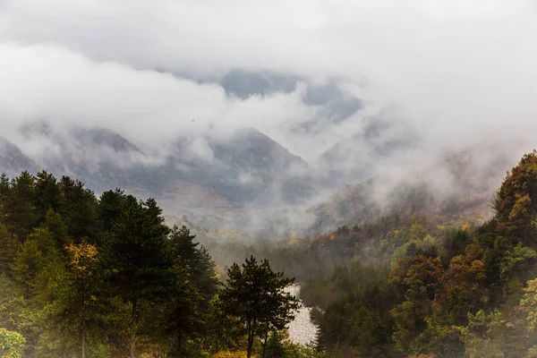 Nuvens Nevoeiro Floresta Nas Montanhas — Fotografia de Stock