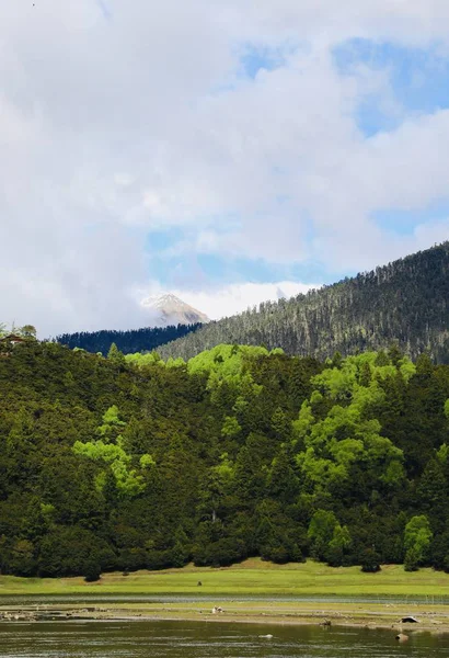 Paisaje Montaña Con Nubes Árboles — Foto de Stock