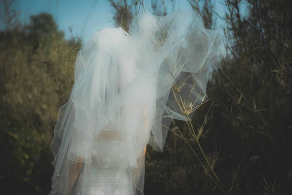 Beautiful Bride Groom Park — Stock Photo, Image