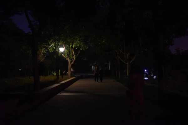 Vista Nocturna Del Parque Ciudad Por Noche — Foto de Stock