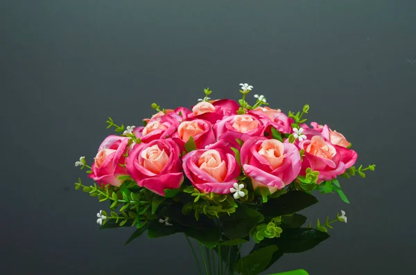 Primer Plano Hermosas Flores Rosas Flor — Foto de Stock