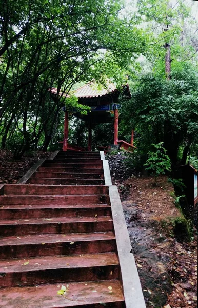 Puente Madera Parque — Foto de Stock