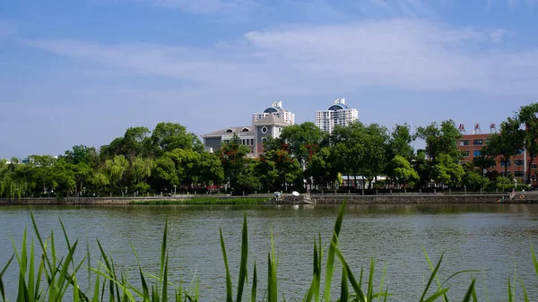 Hermosa Vista Del Parque Ciudad — Foto de Stock