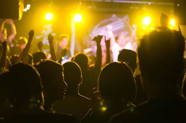 Multitud Personas Concierto — Foto de Stock