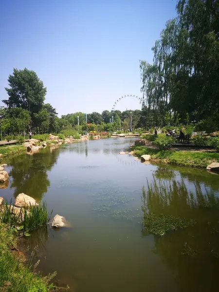 Paisaje Río Parque — Foto de Stock