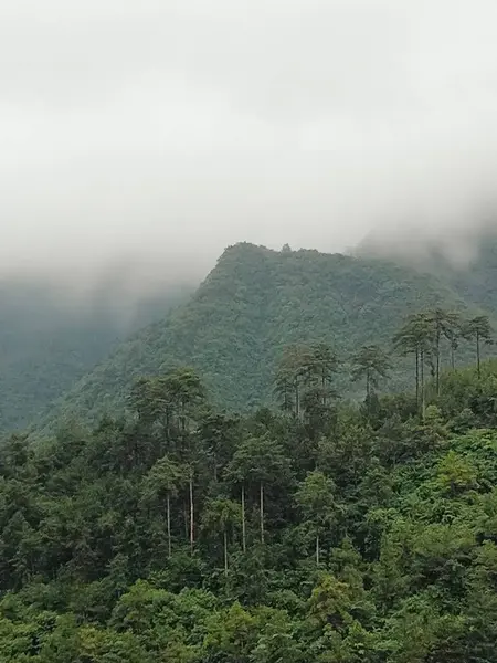 Paisaje Montaña Con Niebla Nubes — Foto de Stock