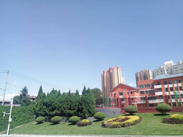 Edificio Moderno Con Plantas Flores — Foto de Stock