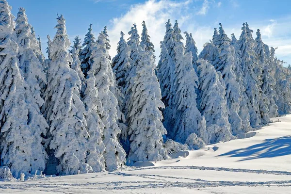 Paisaje Invernal Las Montañas — Foto de Stock