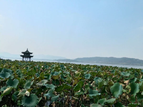 chinese landscape in the city of thailand