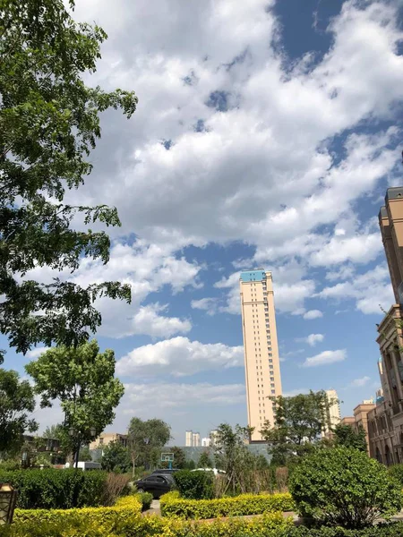 Ciudad Del Parque Verano — Foto de Stock