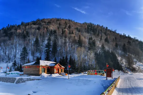 Зимовий Пейзаж Горах — стокове фото