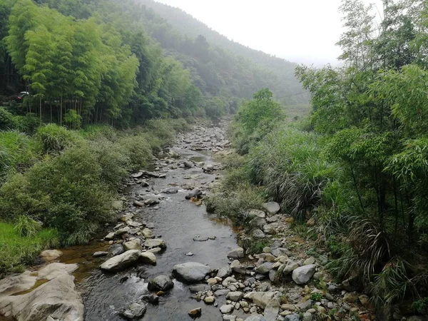 Río Montaña Bosque — Foto de Stock