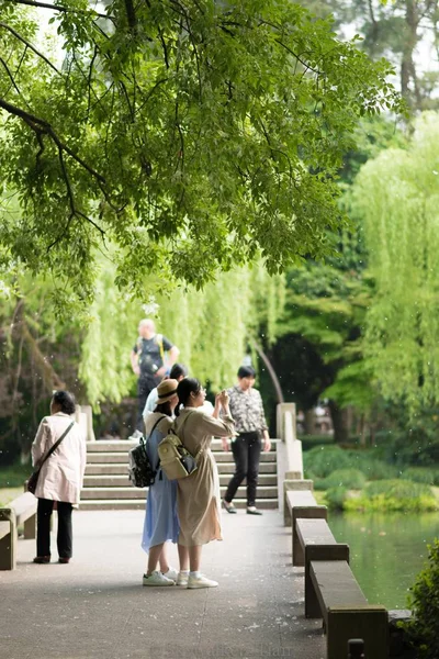 Άνθρωποι Που Περπατούν Στο Πάρκο — Φωτογραφία Αρχείου