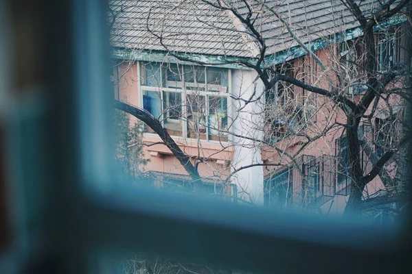 Window Winter Forest — Stock Photo, Image