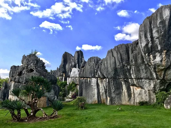 Hermoso Paisaje Naturaleza Fondo — Foto de Stock