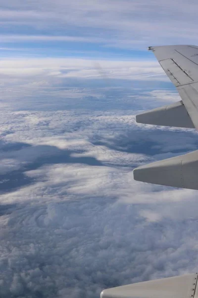 wing of the plane window