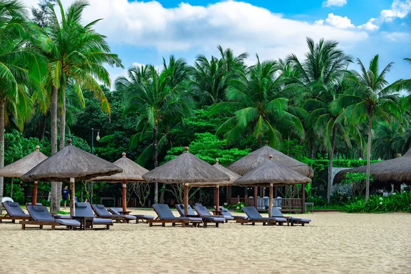 热带海滩 有棕榈树和蓝天 — 图库照片